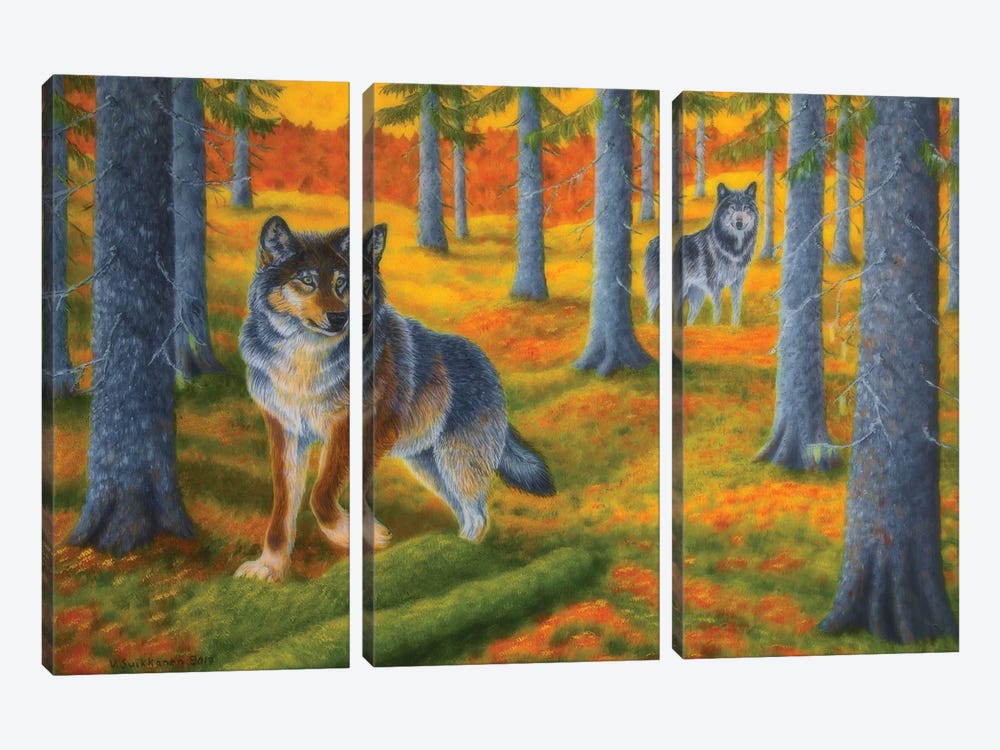 Wolves Forest by Veikko Suikkanen 3-piece Art Print