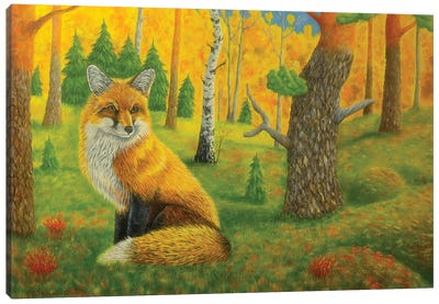 Red Fox Canvas Art Print - Veikko Suikkanen
