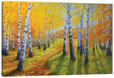 Autumn Light II Canvas Art Print - Veikko Suikkanen