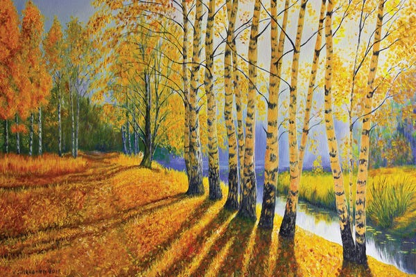 Birch Trees: Birches On The Beach by Veikko Suikkanen