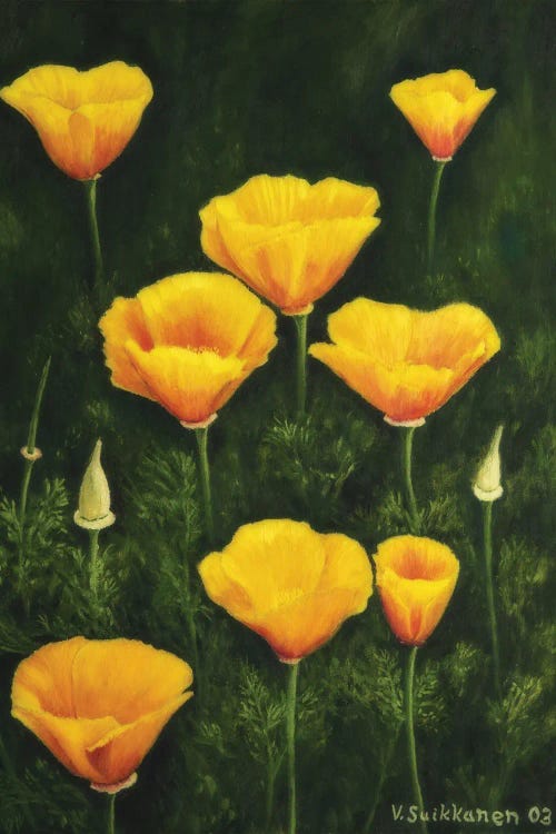 California Poppy by Veikko Suikkanen wall art