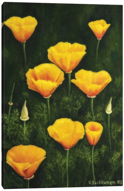 California Poppy Canvas Art Print - Veikko Suikkanen
