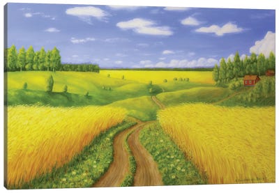Country Road Canvas Art Print - Veikko Suikkanen