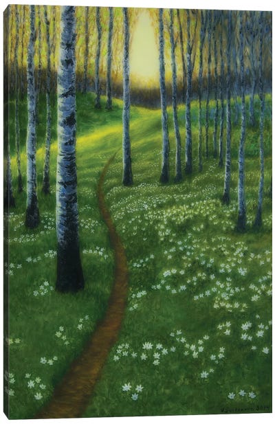 Spring Path Canvas Art Print - Veikko Suikkanen