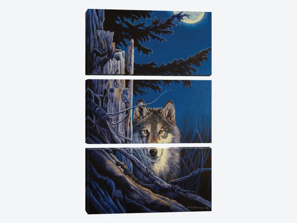 In The Moonlight by Veikko Suikkanen 3-piece Canvas Artwork