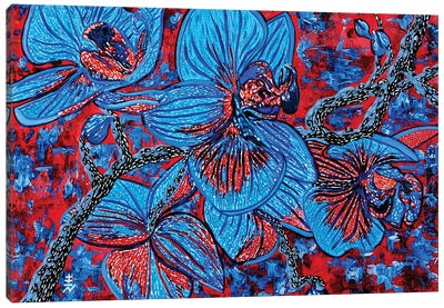 Blue Blossom Canvas Art Print - Orchid Art