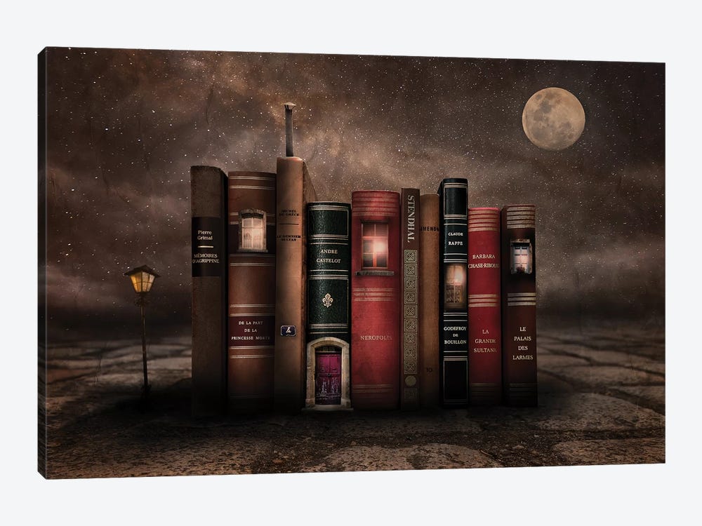 Night Library by Muriel Vekemans 1-piece Art Print