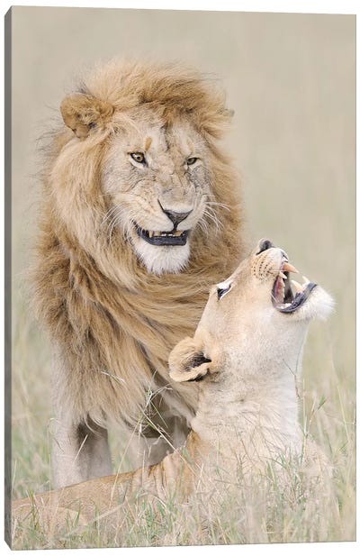 Lion Lover Canvas Art Print