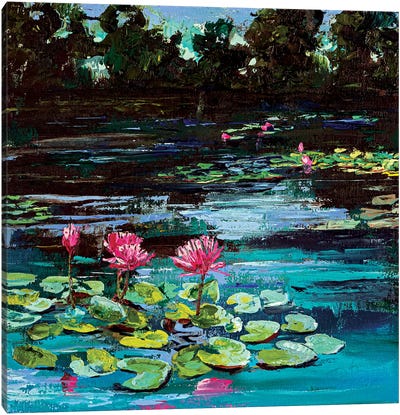 Pond With Water Lilies Canvas Art Print - Water Lilies Collection