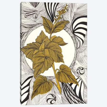 Graphic Nature Plant Canvas Print #VLC45} by Valeria Luchistaya Canvas Art Print