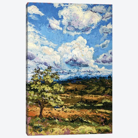 Sky Is In The Clouds Canvas Print #VLC58} by Valeria Luchistaya Canvas Print