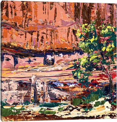 Canyon De Chelly Canvas Art Print - Valeria Luchistaya