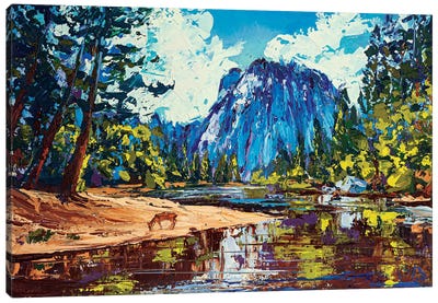 Yosemite National Park Canvas Art Print - Valeria Luchistaya
