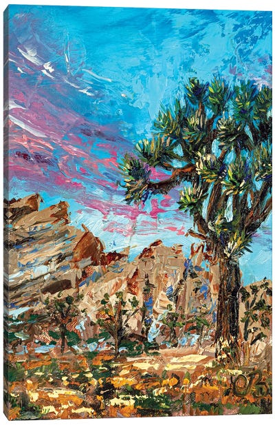 Joshua Tree National Park Canvas Art Print - Valeria Luchistaya