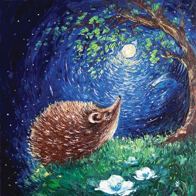 Hedgehog And His Dream by Vlada Koval framed wall art