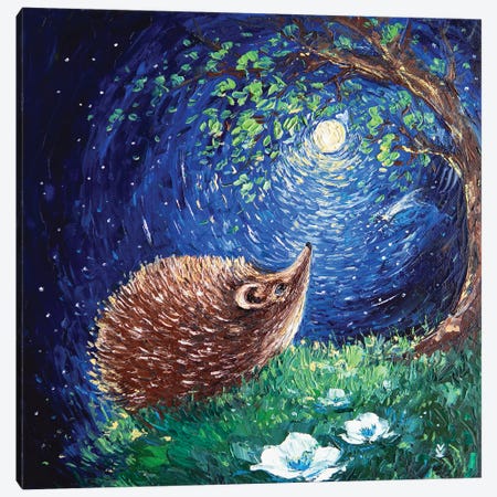 Hedgehog And His Dream Canvas Print #VLK18} by Vlada Koval Art Print