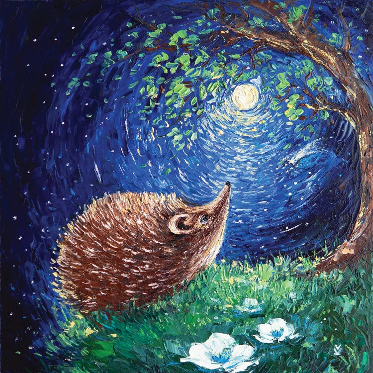 Hedgehog And His Dream