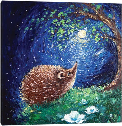 Hedgehog And His Dream Canvas Art Print - Hedgehogs