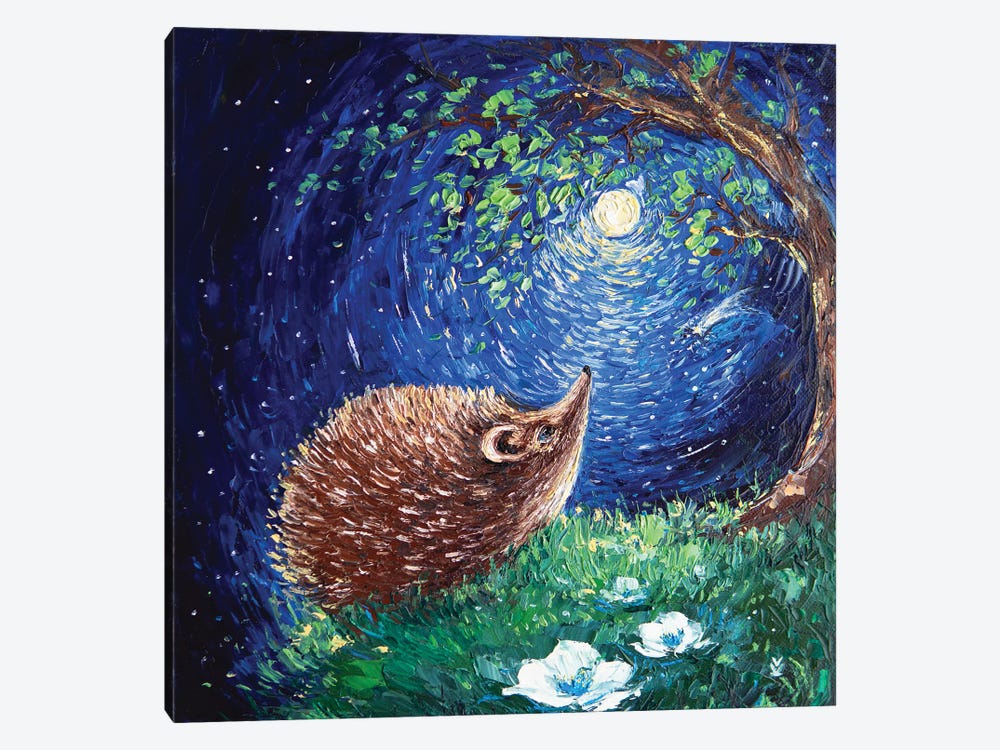 Hedgehog And His Dream by Vlada Koval 1-piece Canvas Artwork