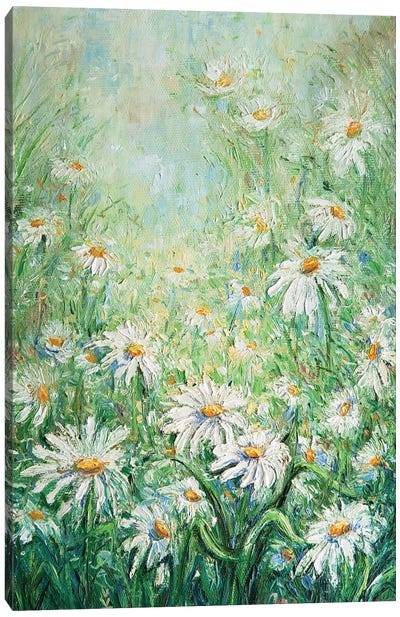 Summer Daisies Canvas Art Print - Daisy Art