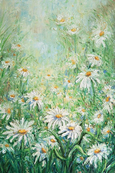 Daisies: Summer Daisies by Vlada Koval