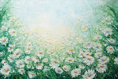 Camomile Field by Vlada Koval art print