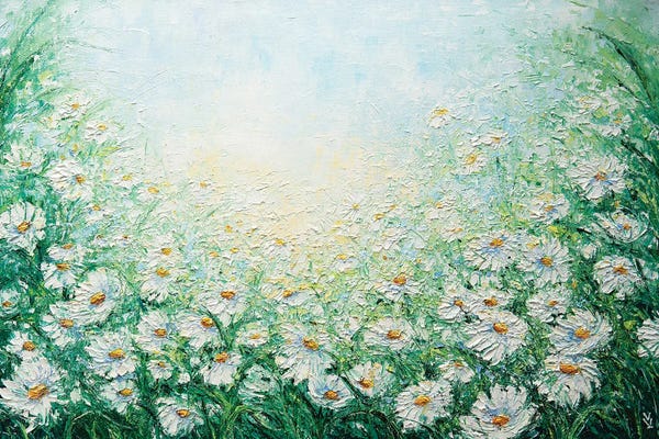 Daisies: Camomile Field by Vlada Koval