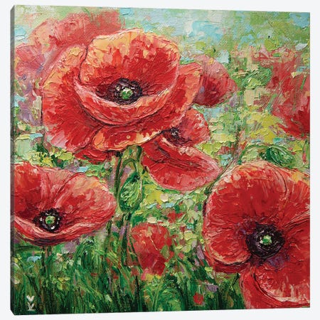 Poppy Field Canvas Print #VLK56} by Vlada Koval Canvas Wall Art
