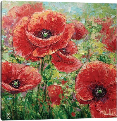 Poppy Field Canvas Art Print - Vlada Koval