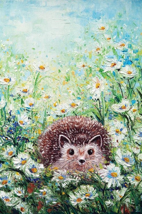 Hedgehog In Daisies