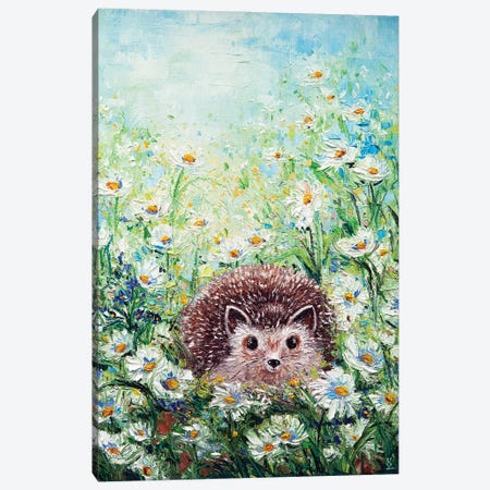 Hedgehog In Daisies Canvas Print #VLK60} by Vlada Koval Canvas Artwork