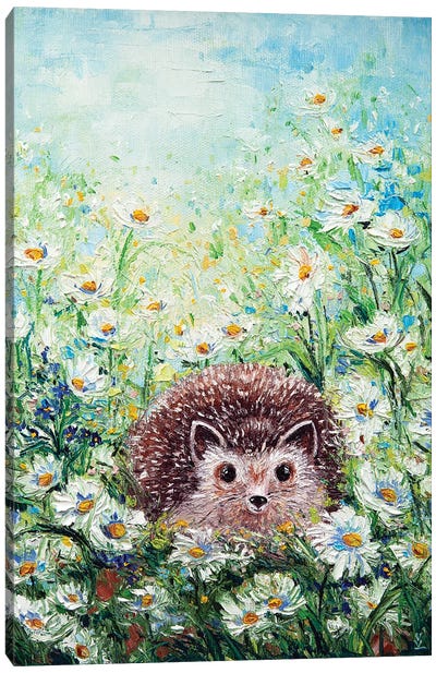 Hedgehog In Daisies Canvas Art Print - Hedgehogs