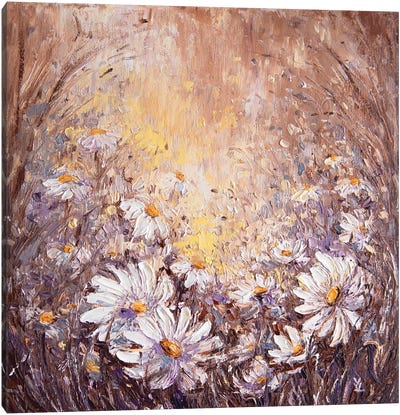 Daisies Canvas Art Print - Daisy Art