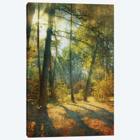 Sunny Day In The Forest Canvas Print #VLR100} by ValeriX Art Print
