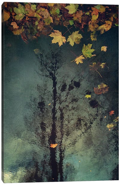 Gone With The November Rain Canvas Art Print - Kyiv Art