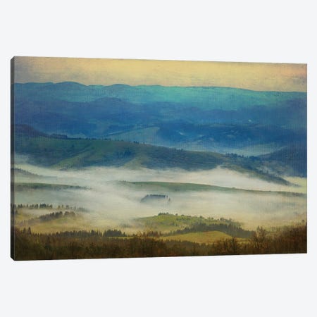 Covered With Morning Mist Canvas Print #VLR103} by ValeriX Canvas Print