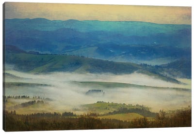 Covered With Morning Mist Canvas Art Print - Ukraine Art