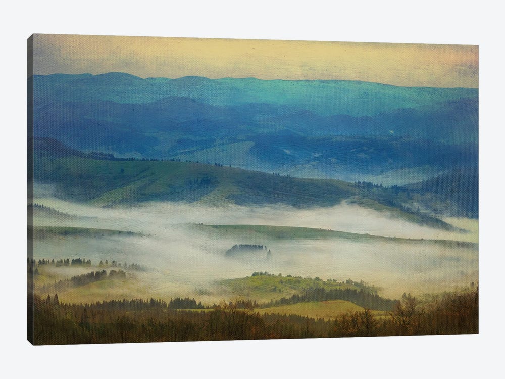 Covered With Morning Mist by ValeriX 1-piece Canvas Art