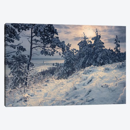 After Snowfall Canvas Print #VLR104} by ValeriX Canvas Art