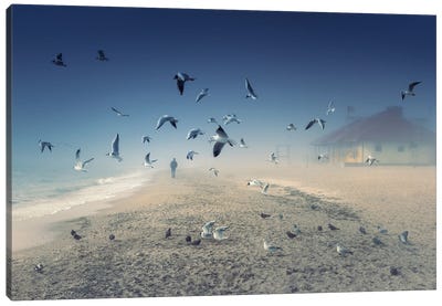 On The Misty Seaside Canvas Art Print - Gull & Seagull Art
