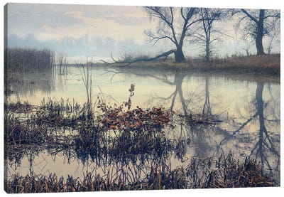 Quiet Autumn Evening Canvas Art Print - ValeriX