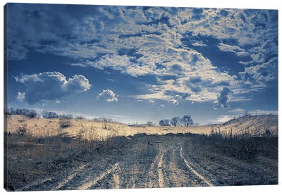 The Road To Nowhere. Canvas Art Print - ValeriX