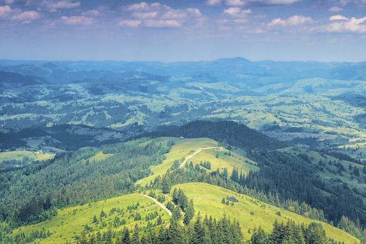 On The Green Mountain Meadows