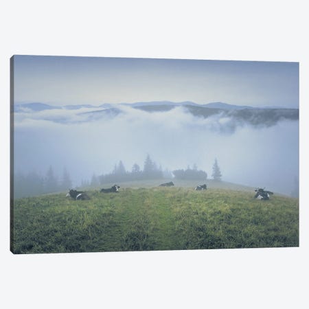 Serenity In The Morning Fog Canvas Print #VLR116} by ValeriX Canvas Print
