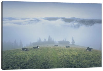 Serenity In The Morning Fog Canvas Art Print - ValeriX