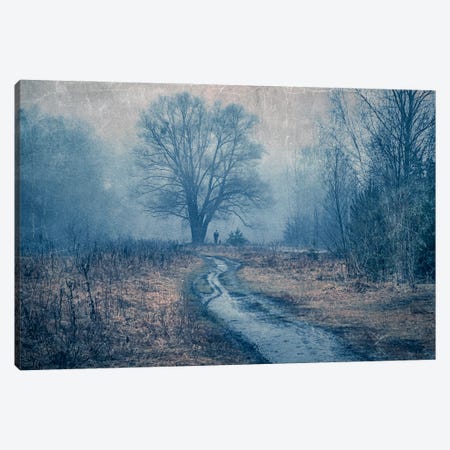 Walking In The Foggy Forest Canvas Print #VLR119} by ValeriX Canvas Artwork