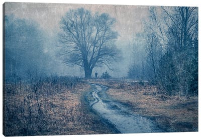 Walking In The Foggy Forest Canvas Art Print - ValeriX