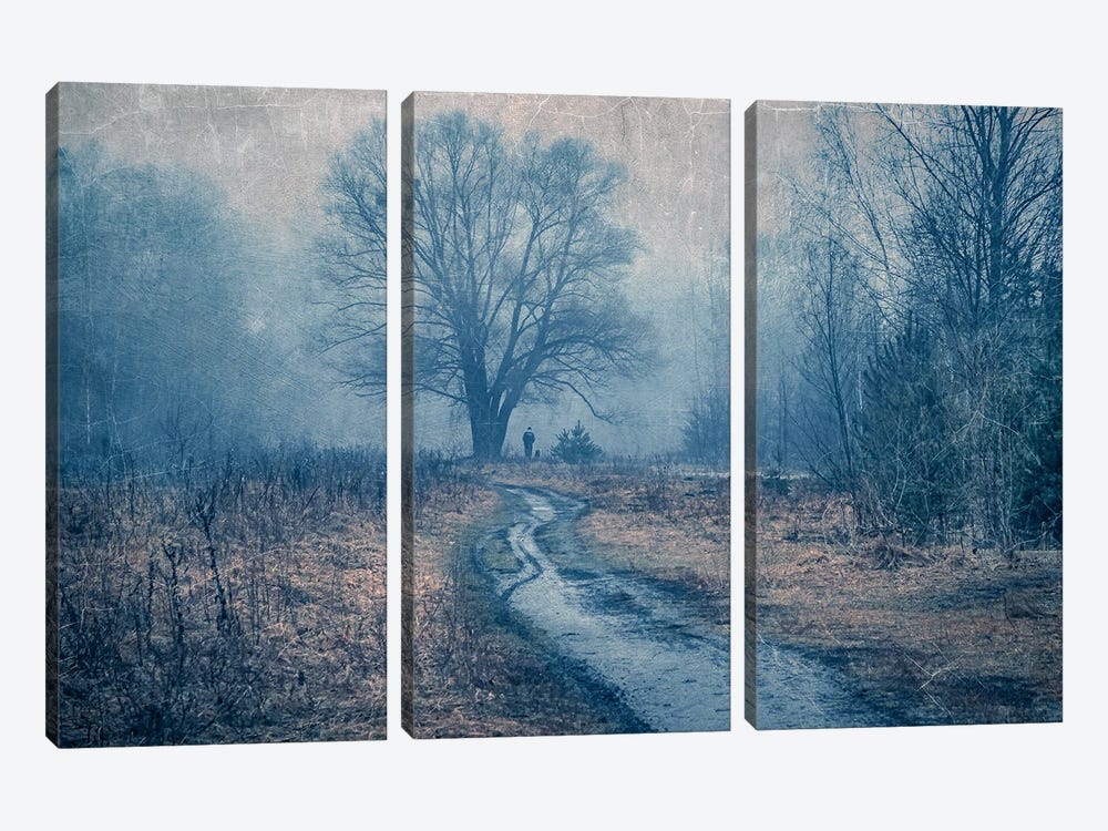 Walking In The Foggy Forest by ValeriX 3-piece Art Print