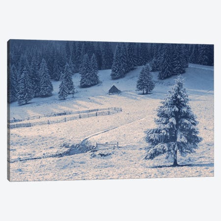First Winter Morning Canvas Print #VLR120} by ValeriX Canvas Print