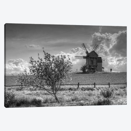 The Sweet Month Of May Canvas Print #VLR127} by ValeriX Canvas Wall Art